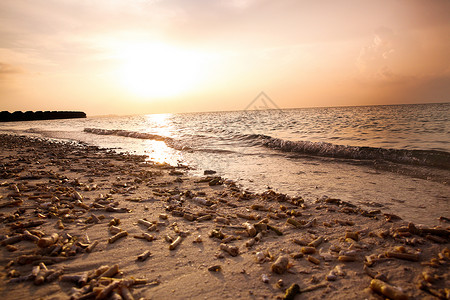 波马尔马尔代夫海景背景