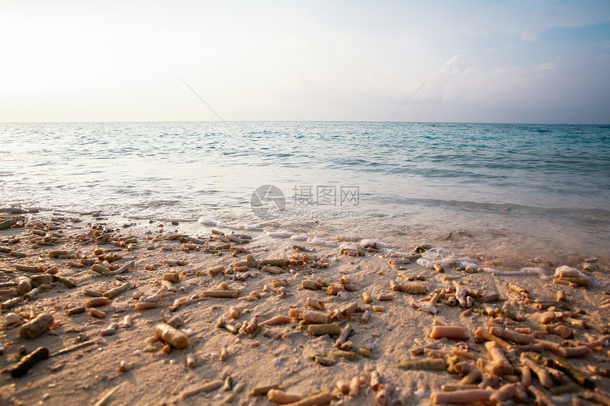 美丽海边的海岸线图片