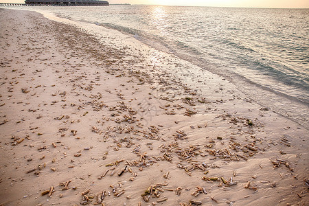 旅游旅行沙子马尔代夫海景图片