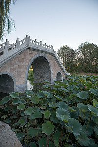 著名景点北京圆明园图片