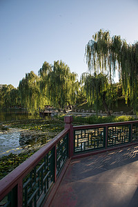 圆明园路皇室白昼保护北京圆明园背景