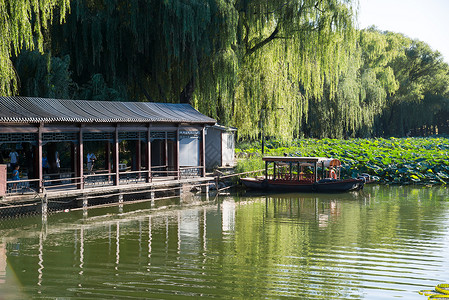 湖上的柳树树历史亚洲北京圆明园背景