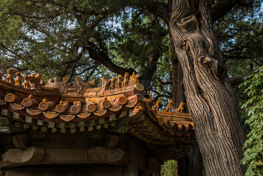 文化远古的北京故宫图片