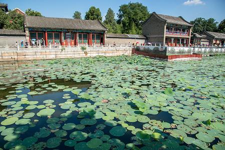 摄影游客传统文化北京颐和园图片