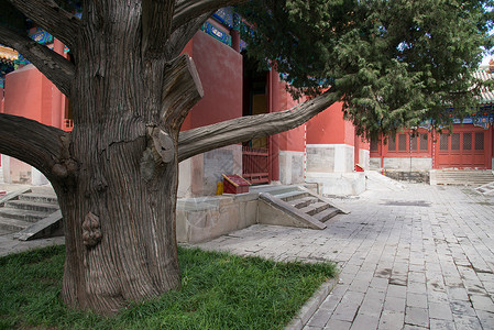 水平构图古典风格保护北京雍和宫图片