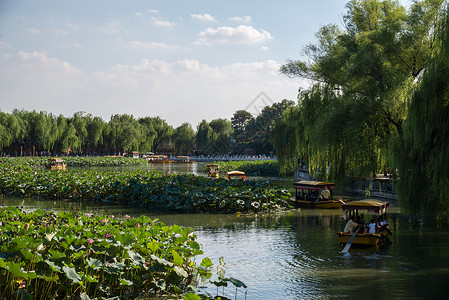 都市风光绿化古老的北京北海公园图片