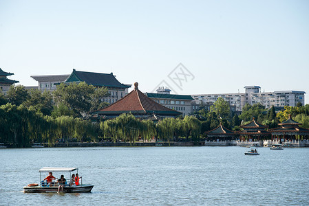 湖环境树北京北海公园图片