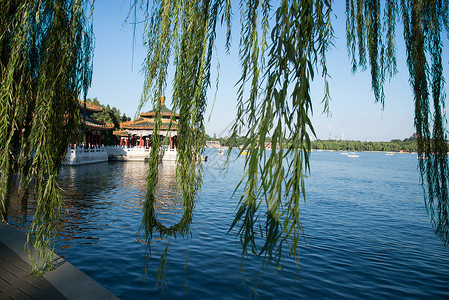 旅游湖绿化北京北海公园图片