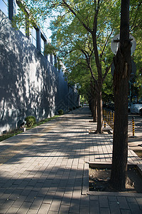 高层办公大楼植物城市建筑外部北京三里屯街景背景