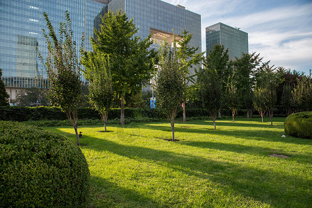 亚洲草公共设施北京东直门图片