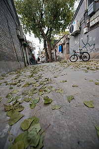 带通道花瓣街道旅游旅游胜地北京胡同背景