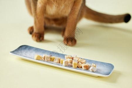 可爱猫咪吃零食特写背景图片