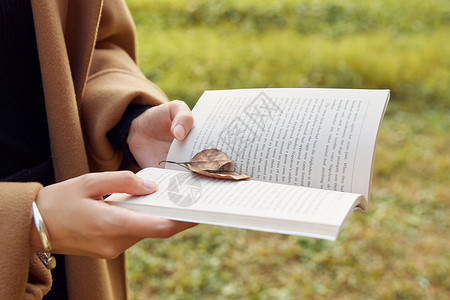 女性与昆虫深秋树叶掉落在书本上特写背景