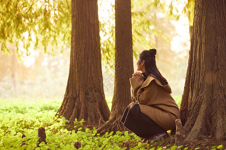 知性少女户外欣赏秋景图片