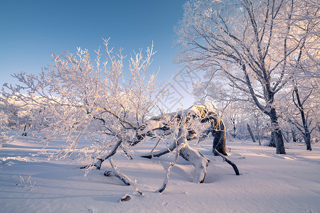 冬天冬天冬天雾凇雪景风光背景