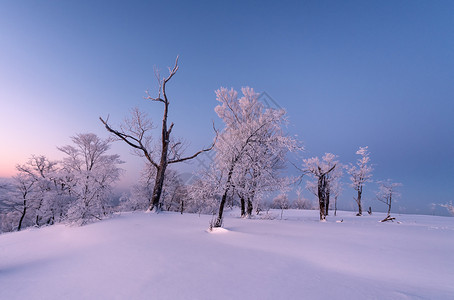 冬天雾凇雪景风光高清图片