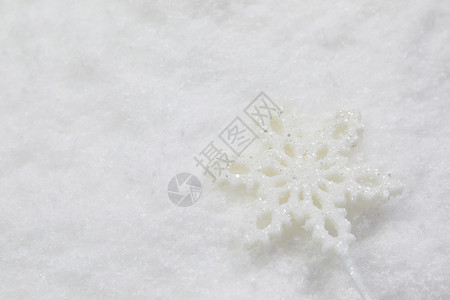 雪景静物雪花特写图片