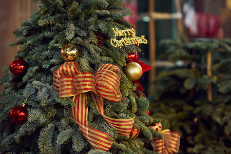 集市上的圣诞树图片