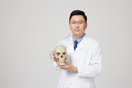 男性医生手拿头部骨骼模型图片