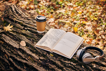 金色枫叶花边树干上的书籍咖啡跟耳机背景