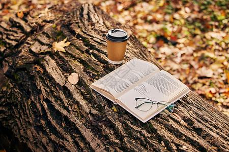 舒适的眼镜树干上的书籍咖啡与眼镜背景