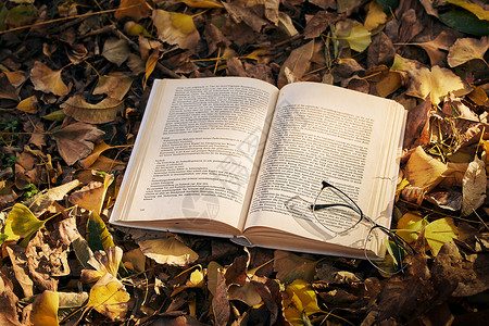 离堆公园落叶堆中的书本与眼镜背景