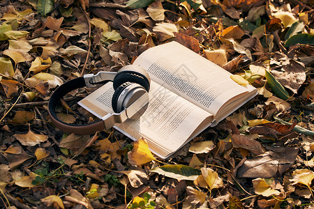 金色耳机素材落叶堆中的书本与耳机背景