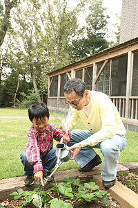 爷爷陪孙子在花园里种植蔬菜图片