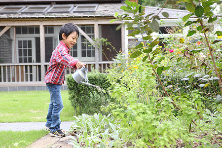 幼儿园儿童在花园里种植蔬菜图片