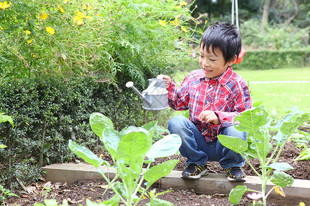 幼儿园儿童在花园里种植蔬菜高清图片