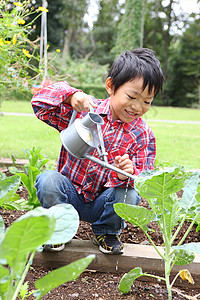 幼儿园儿童在花园里种植蔬菜图片