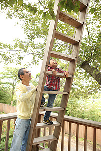 梯子上的爸爸树屋上玩耍的孙子和爷爷背景