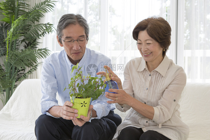 老年夫妻种植盆栽植物图片