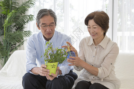 老年夫妻种植盆栽植物图片