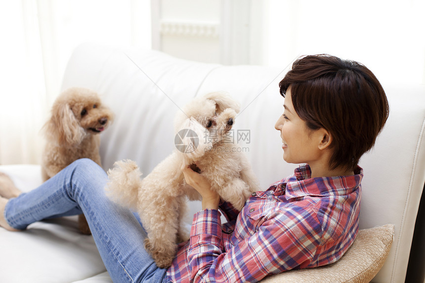 女性和狗狗在沙发上玩耍图片