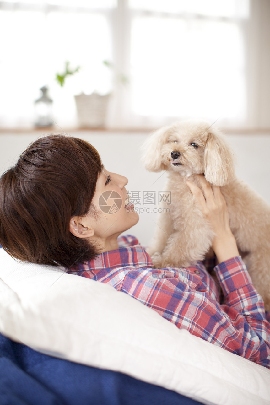 沙发上抱着宠物贵宾犬玩耍的女主人图片