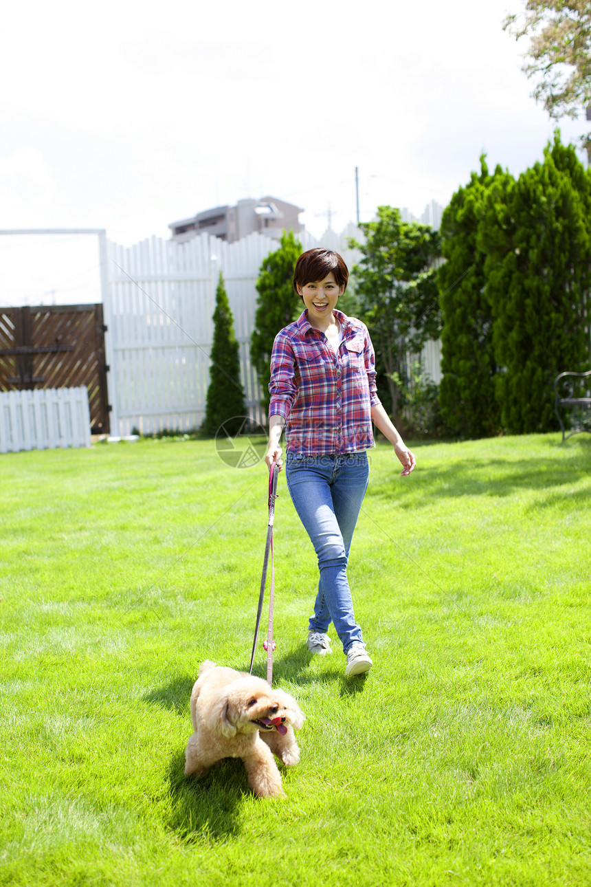 女性牵着宠物狗户外草地散步图片