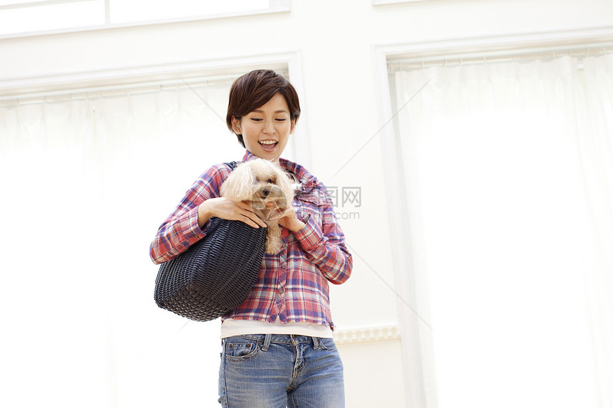 年轻女性带宠物贵宾犬外出图片