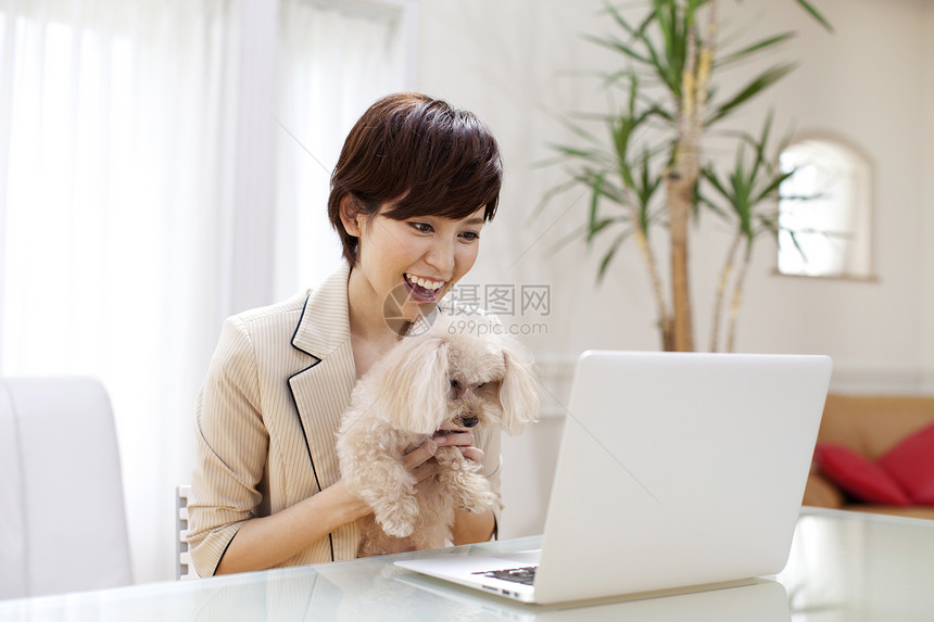 职场女性居家办公和玩具贵宾犬图片