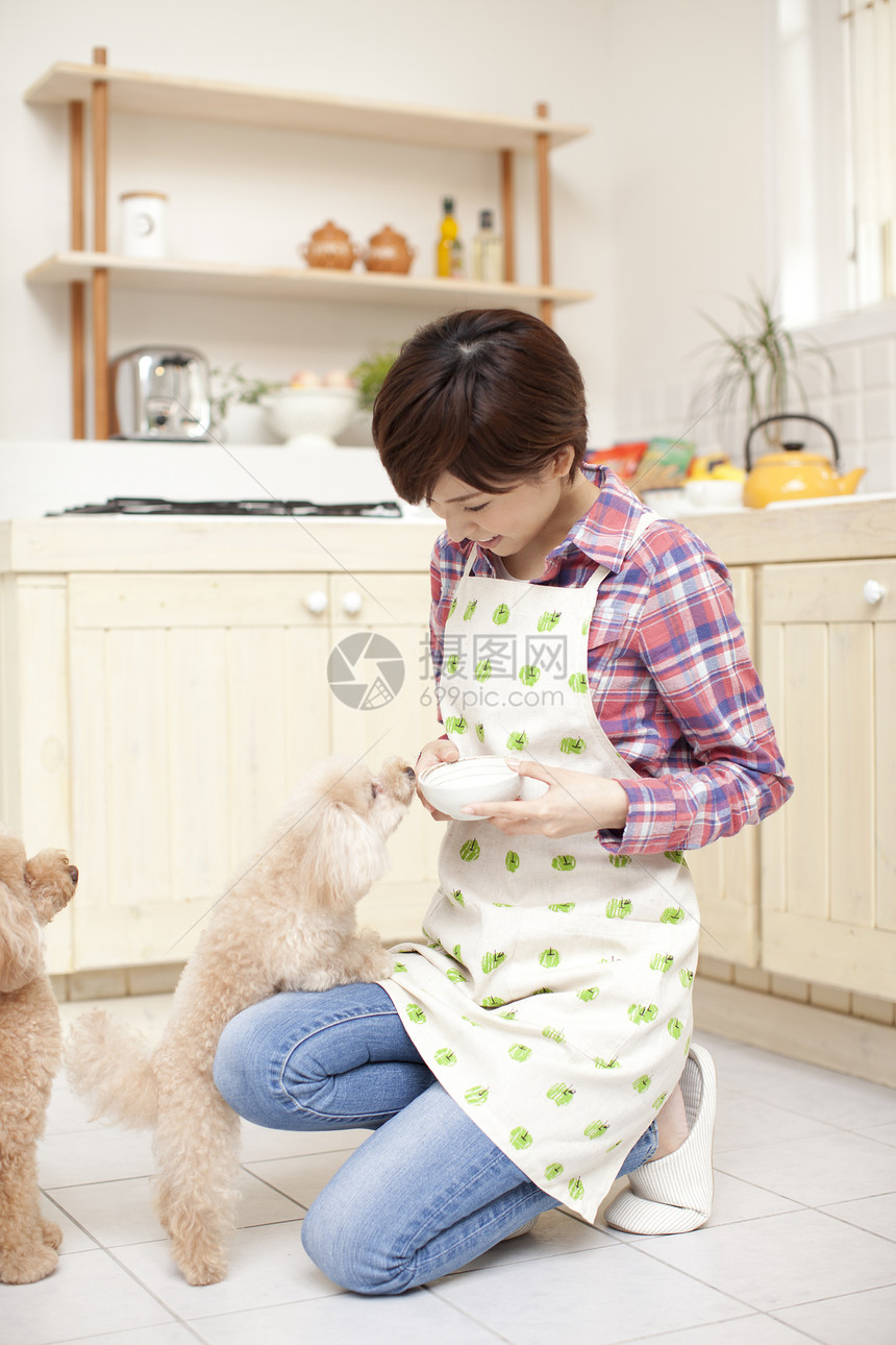 厨房间和狗狗玩耍的女性图片