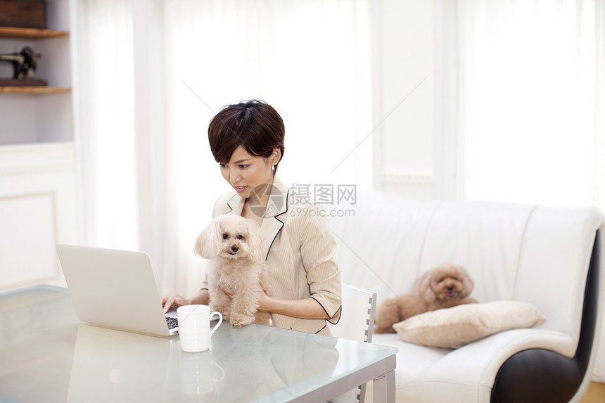 商务女性带着狗狗一起工作图片