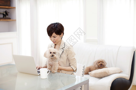 商务女性带着狗狗一起工作图片
