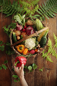 有机蔬菜夏季蔬菜拼盘图片