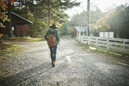宠物背包和狗一起散步背景