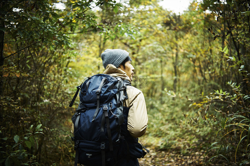 徒步探索森林的男人背影图片