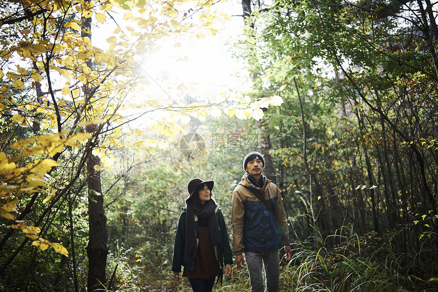 露营夫妇漫步在森林里图片