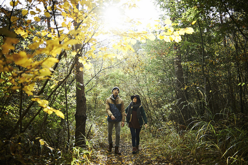 在森林里散步的夫妇图片