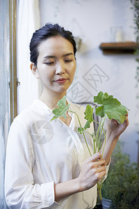 手拿绿植的花店美女背景图片