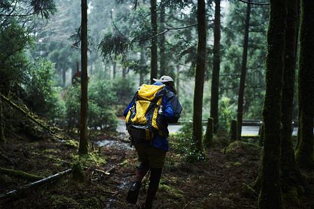 雨林中冒险旅行的男背包客图片