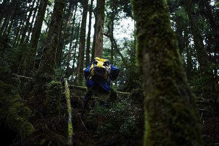 丛林冒险探索自然的背包客背影图片